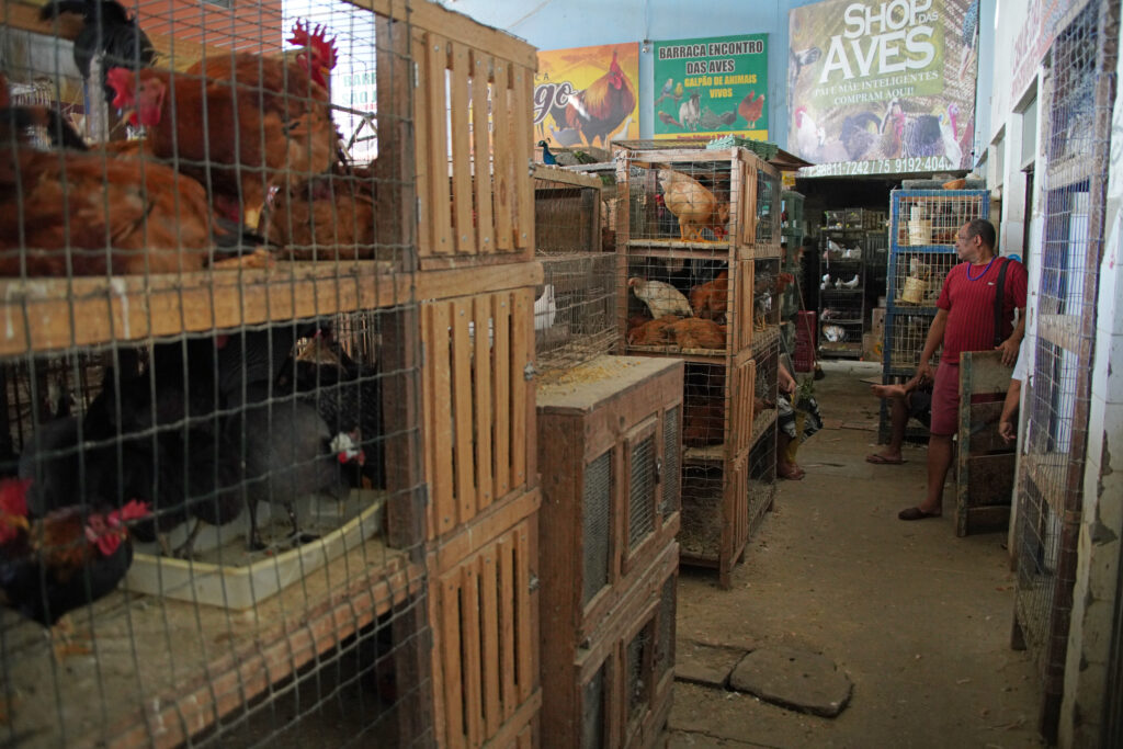 10_brasilien_salvador-da-bahia_dsc03811
