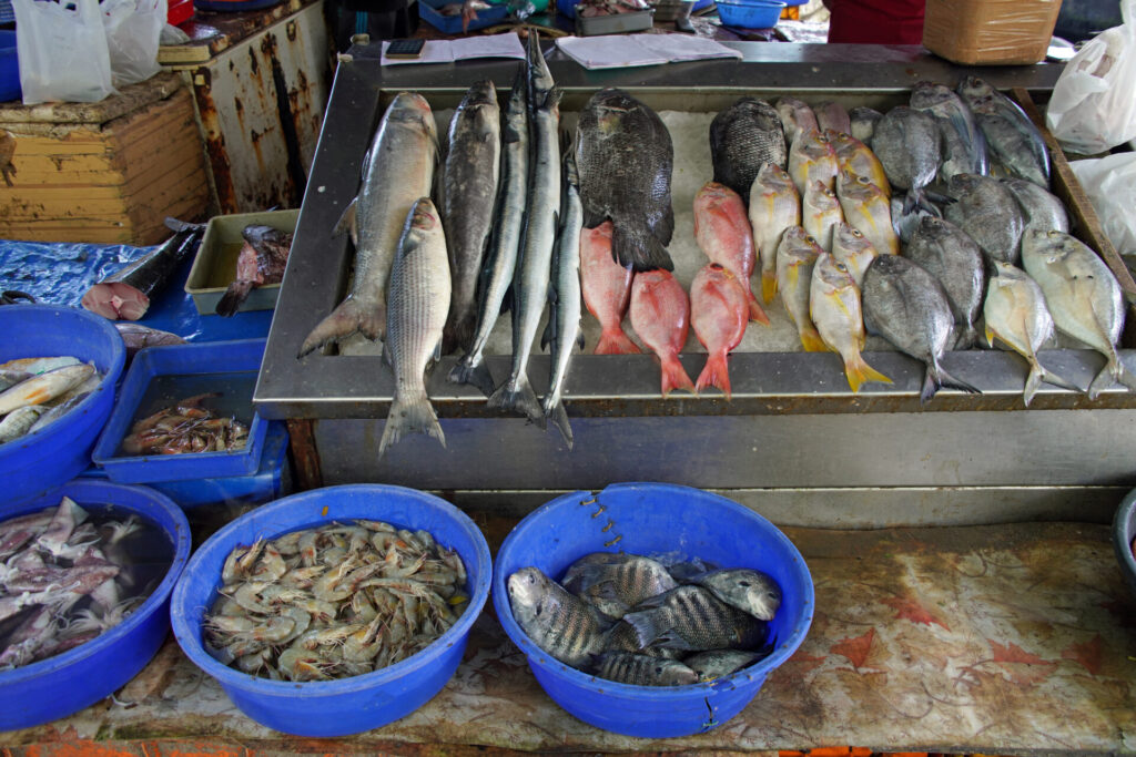 10_indien_kochi_cochin_dsc08620