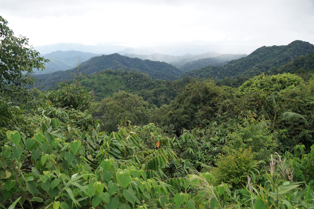 Kaeng Krachan Nationalpark in Thailand