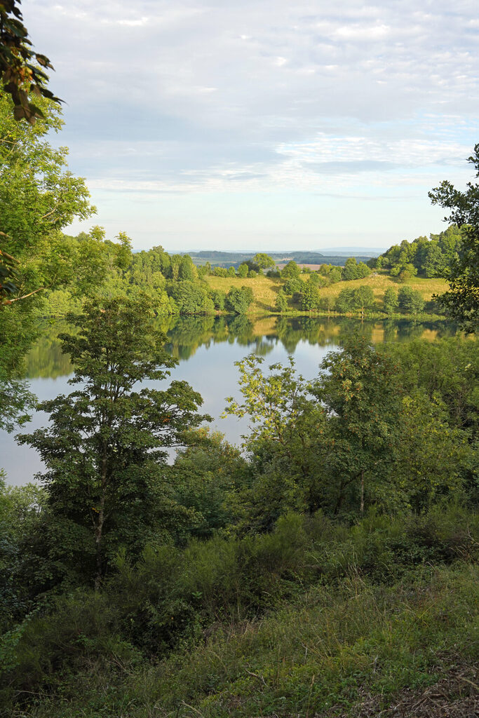 10_maare_weinfelder_maar_totenmaar_eifel__dsc08044
