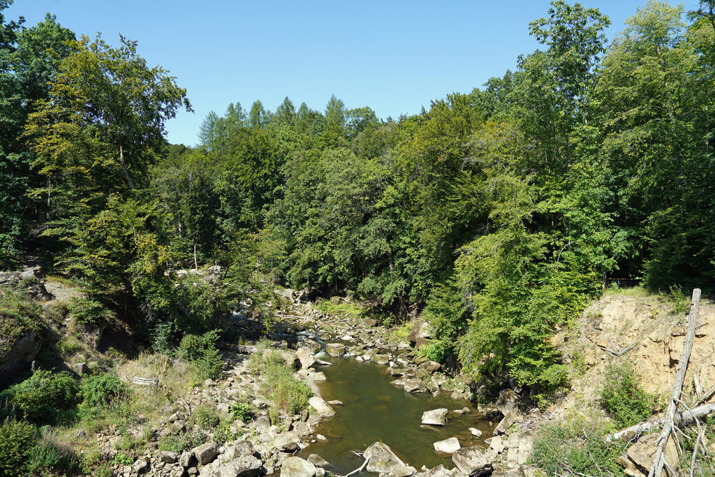 170_eifel_irrel_ralph_dresel_dsc08321