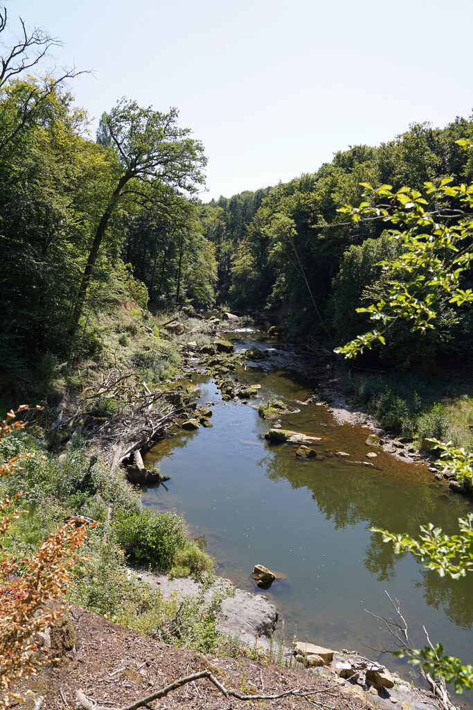 170_eifel_irrel_ralph_dresel_dsc08329