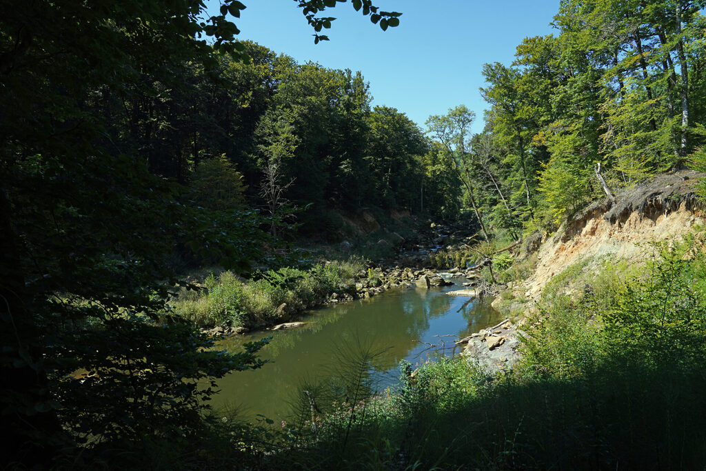 170_eifel_irrel_ralph_dresel_dsc08330 Die Irreler Hängeseilbrücke spannt sich über die Prüm und ist von einer herrlichen Landschaft in der südlichen Eifel bei der Teufelsschlucht eingerahmt