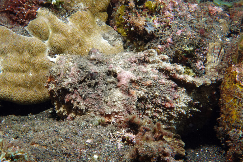 20_bali_kubu-indah_tulamben_dsc00479