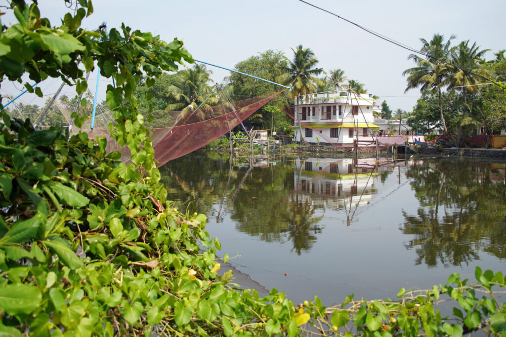 20_indien_fahrt_nach_kumarakom_dsc08646