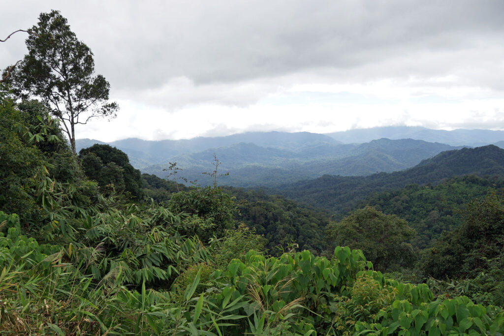 Kaeng Krachan Nationalpark in Thailand