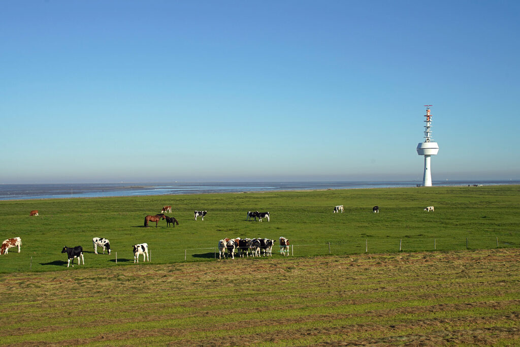 20_nordsee_insel_neuwerk_dsc03004