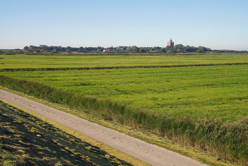 20_nordsee_insel_neuwerk_dsc03008