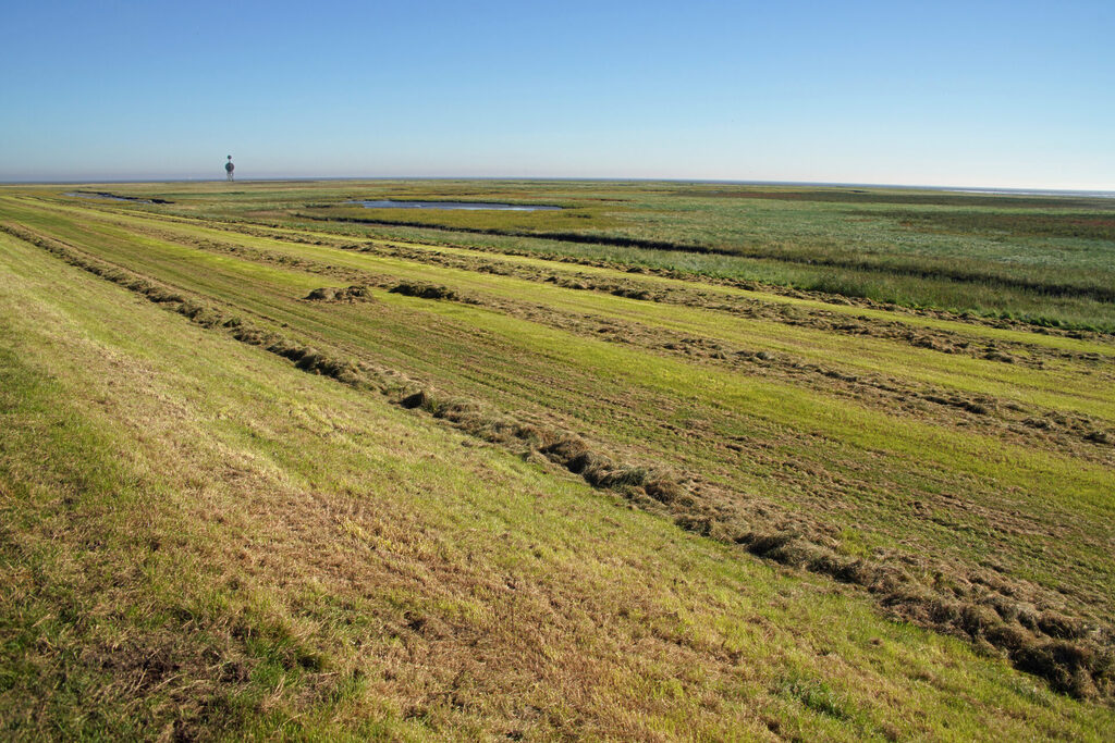 20_nordsee_insel_neuwerk_dsc03012