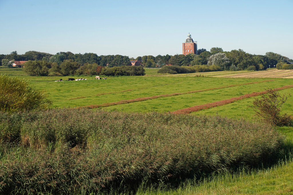 20_nordsee_insel_neuwerk_dsc03013