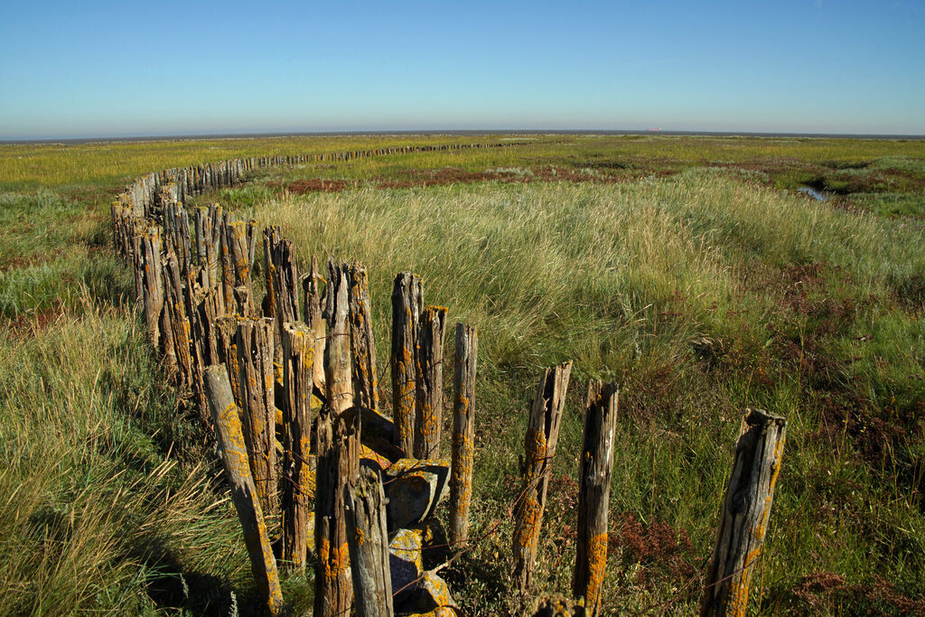 20_nordsee_insel_neuwerk_dsc03025