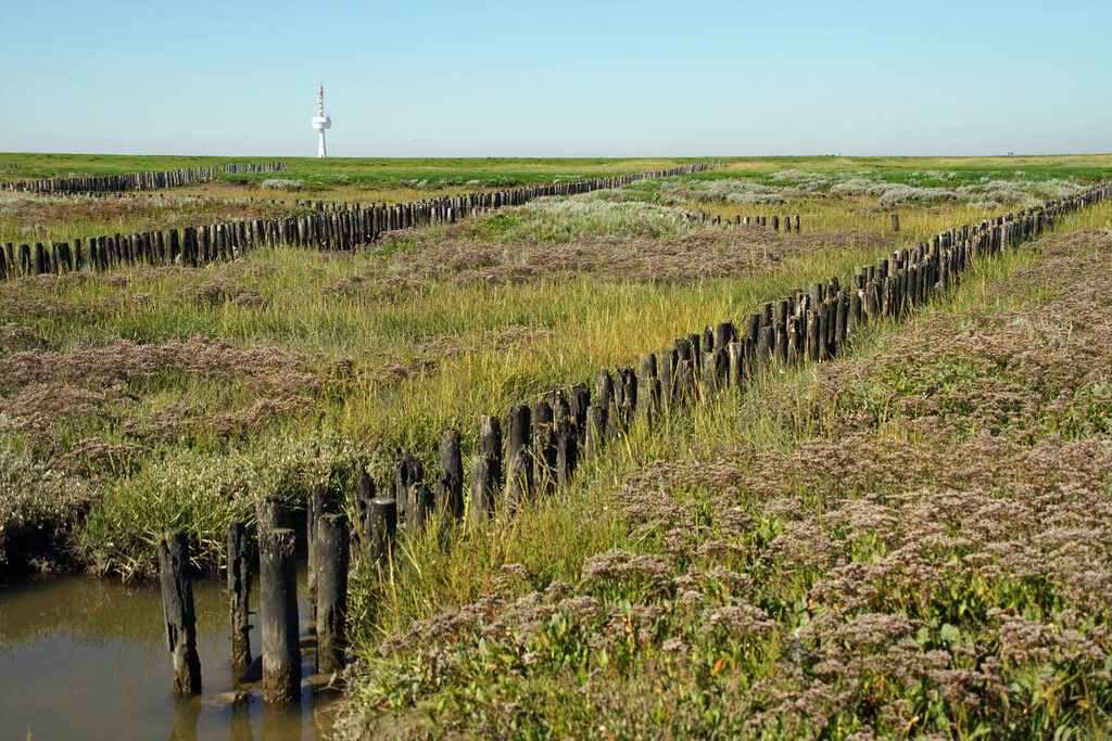 20_nordsee_insel_neuwerk_dsc03031