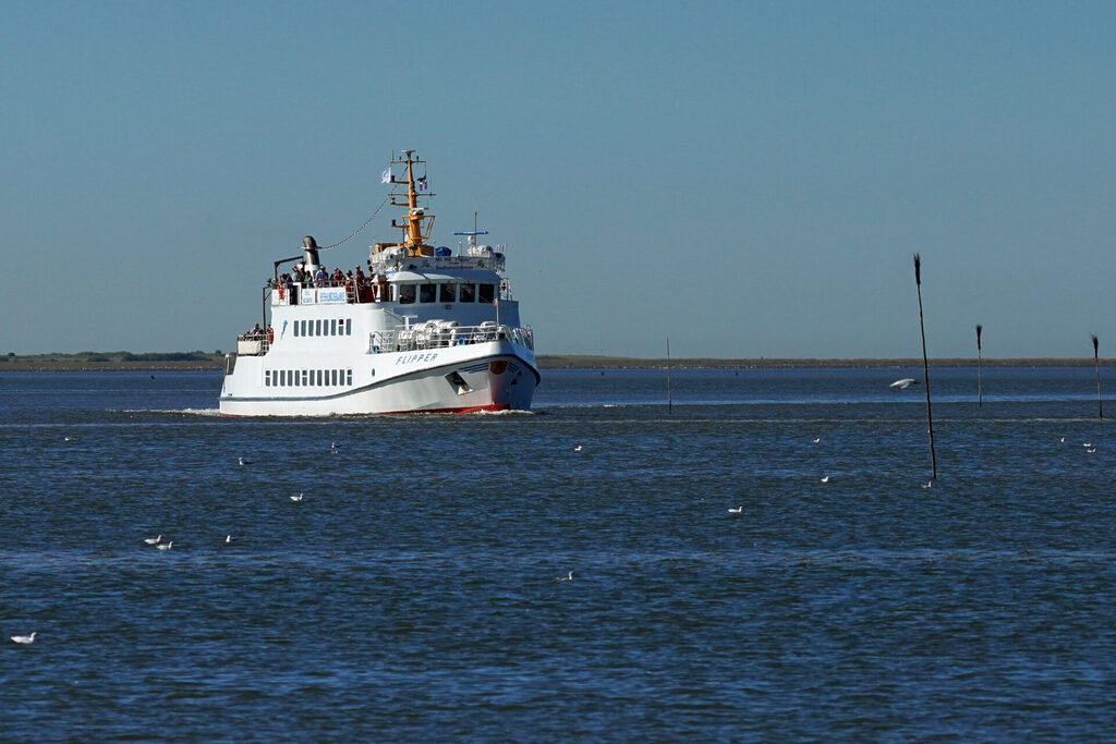 20_nordsee_insel_neuwerk_dsc03062