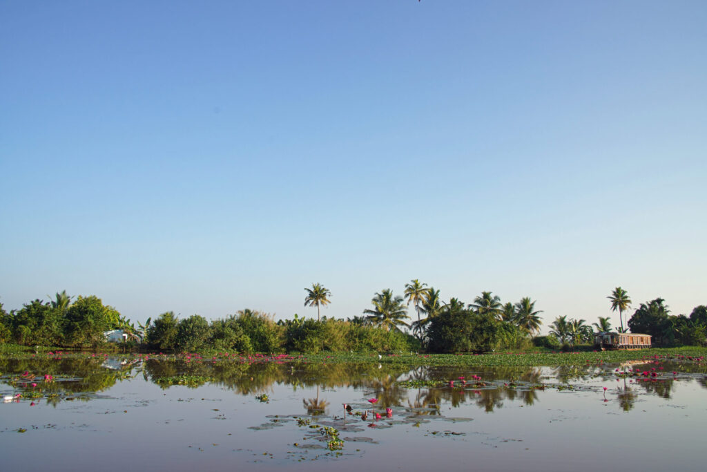 25_indien_kumarakom_backwaters_dsc01223