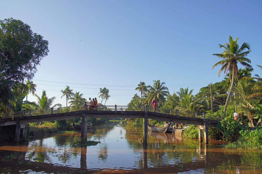 25_indien_kumarakom_backwaters_dsc01239
