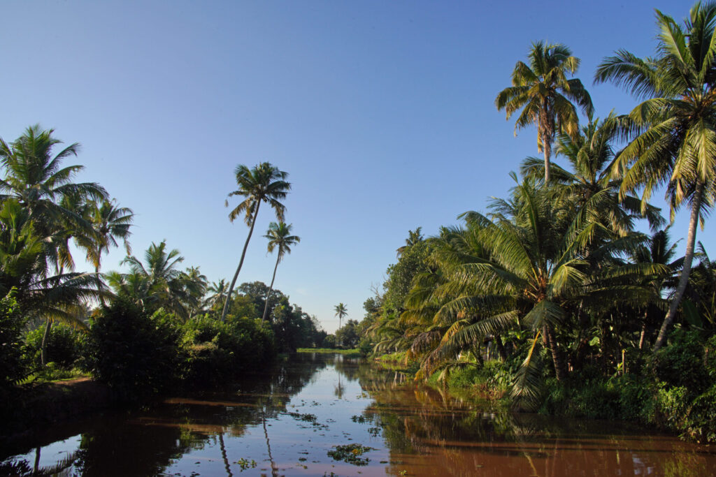 Die überwältigenden Backwaters bei Kumarakom am Lake Vembanad in Kerala in Goa