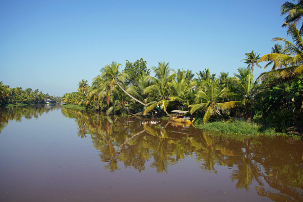 25_indien_kumarakom_backwaters_dsc01260