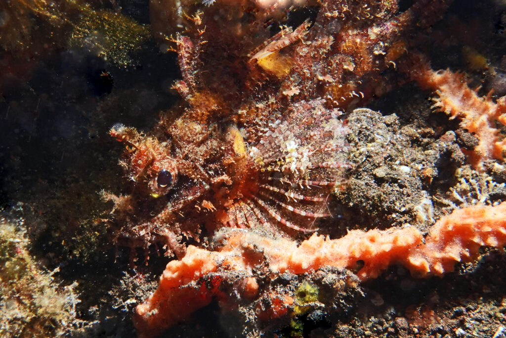 30_bali_kubu-indah_melasti_dsc00524