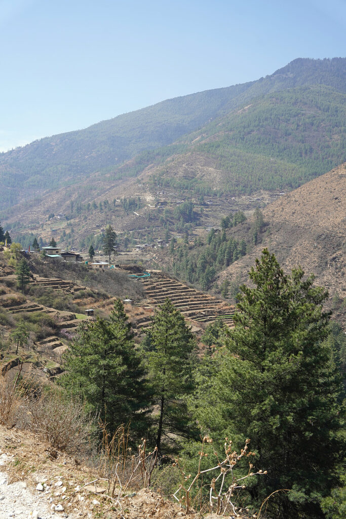 30_bhutan_dsc02199