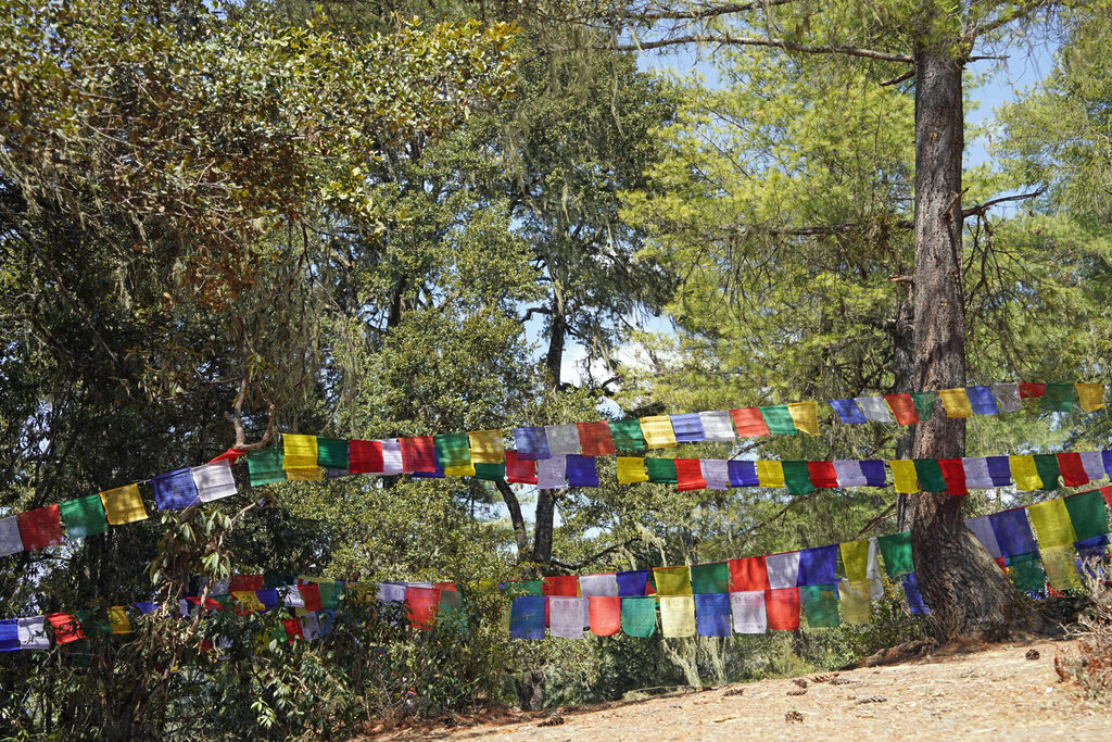 40_bhutan_dsc02439