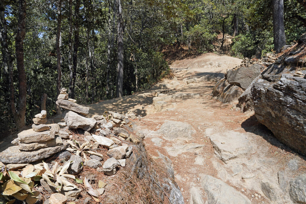40_bhutan_dsc02454