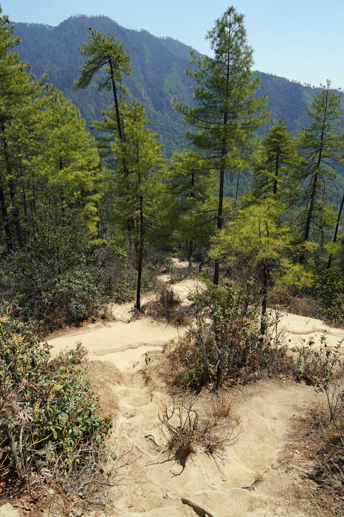 40_bhutan_dsc02479
