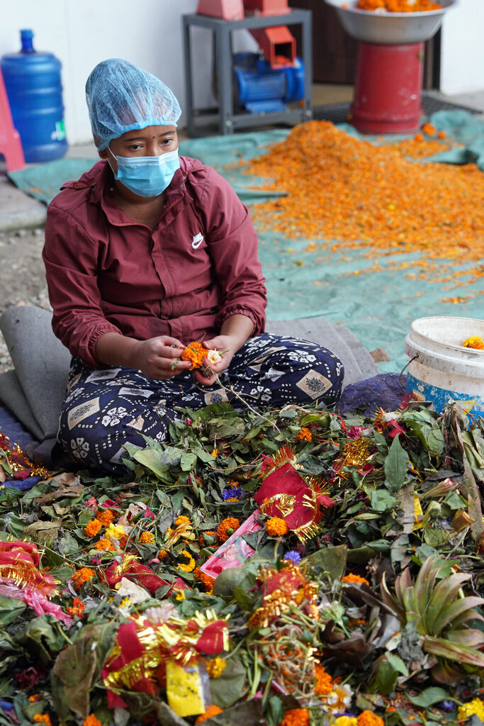 Die Organisation Phool Prasad lässt die Nachhaltigkeit in Kathmandu in Nepal einziehen.