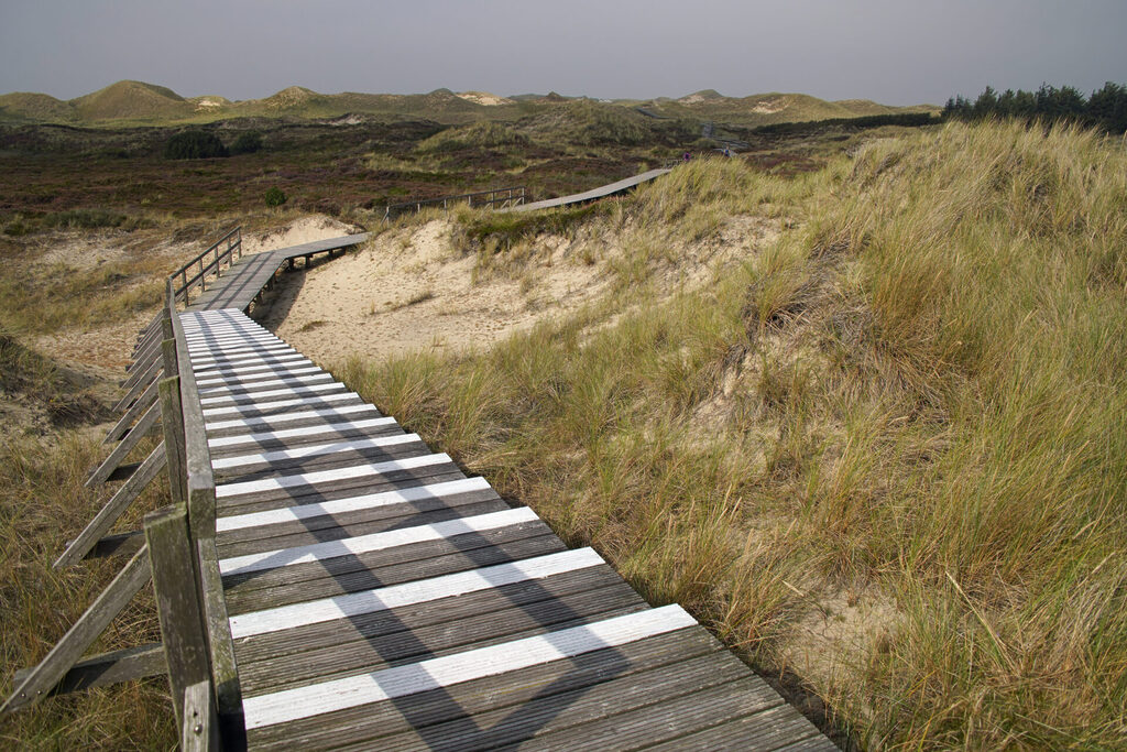 40_nordsee_insel_amrum_dsc04293