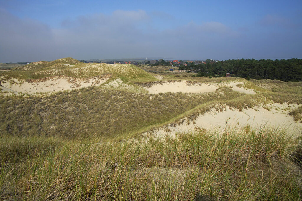 40_nordsee_insel_amrum_dsc04300