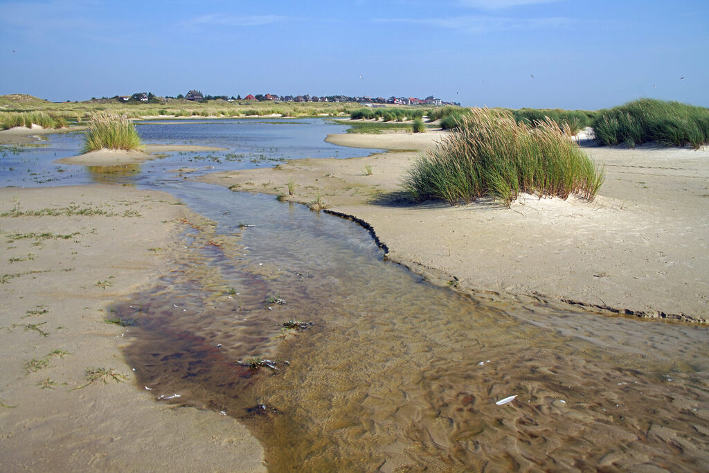 46_nordsee_insel_amrum_dsc04424