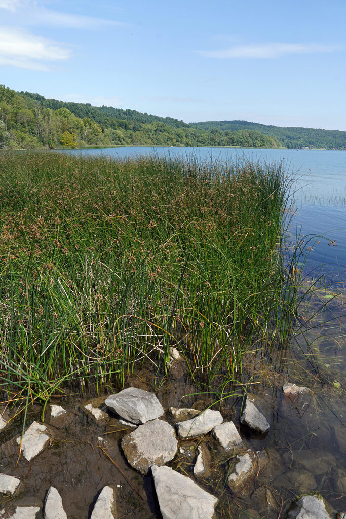 Laacher See in der Eifel