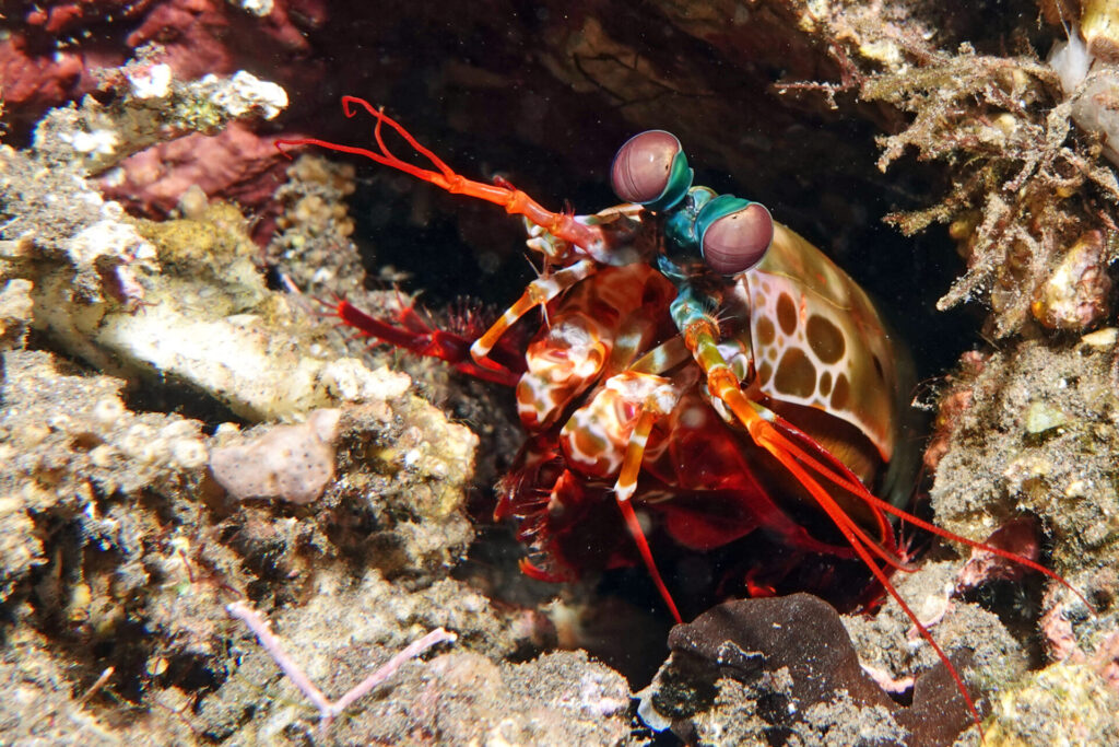 90_bali_tulamben_drop-off_dsc00950