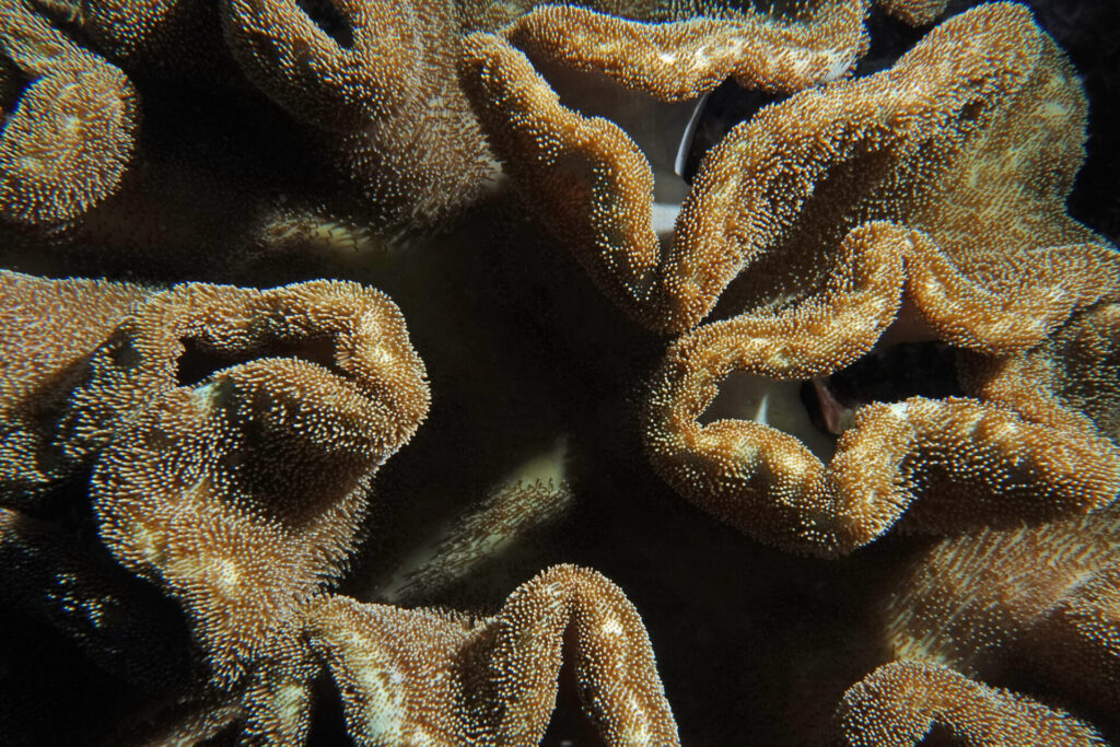 bali_nusa-penida_dsc01365