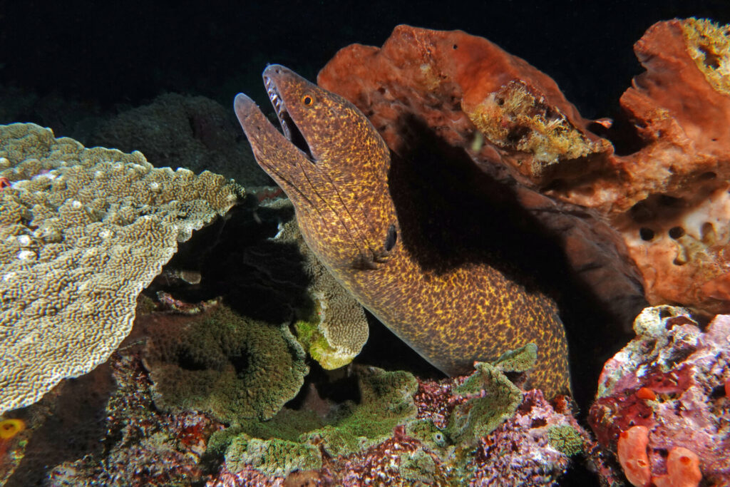 bali_nusa-penida_dsc01374