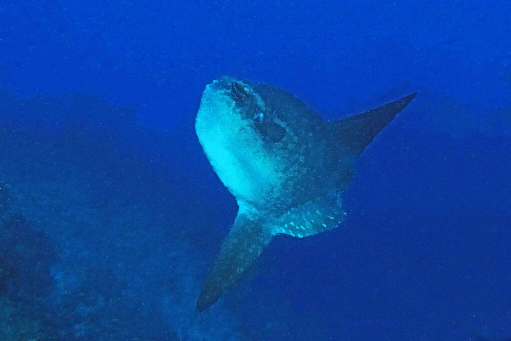 bali_nusa-penida_dsc01396