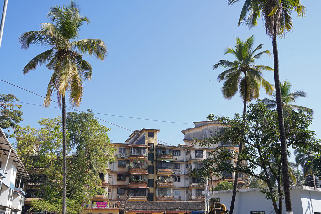 indien_goa_dsc06694