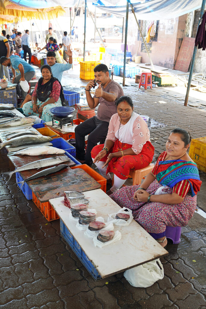 indien_goa_dsc06701