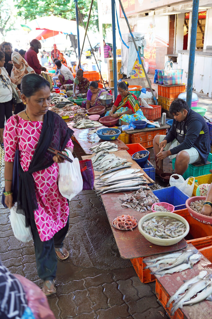 indien_goa_dsc06702