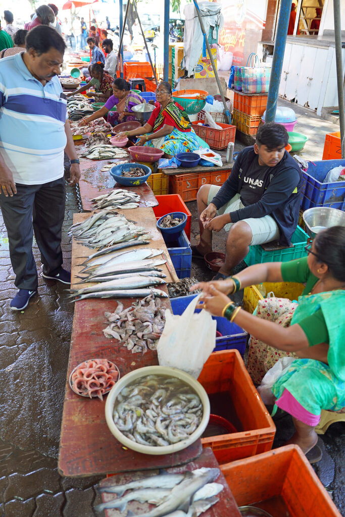 indien_goa_dsc06703