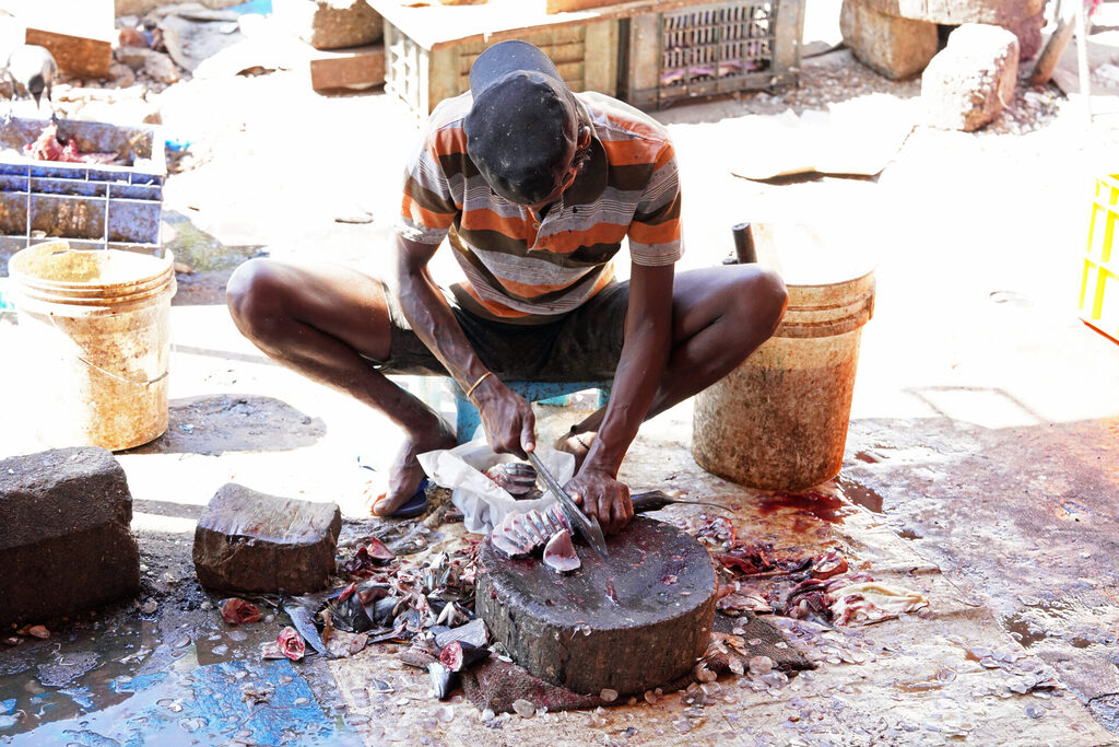 indien_goa_dsc06705