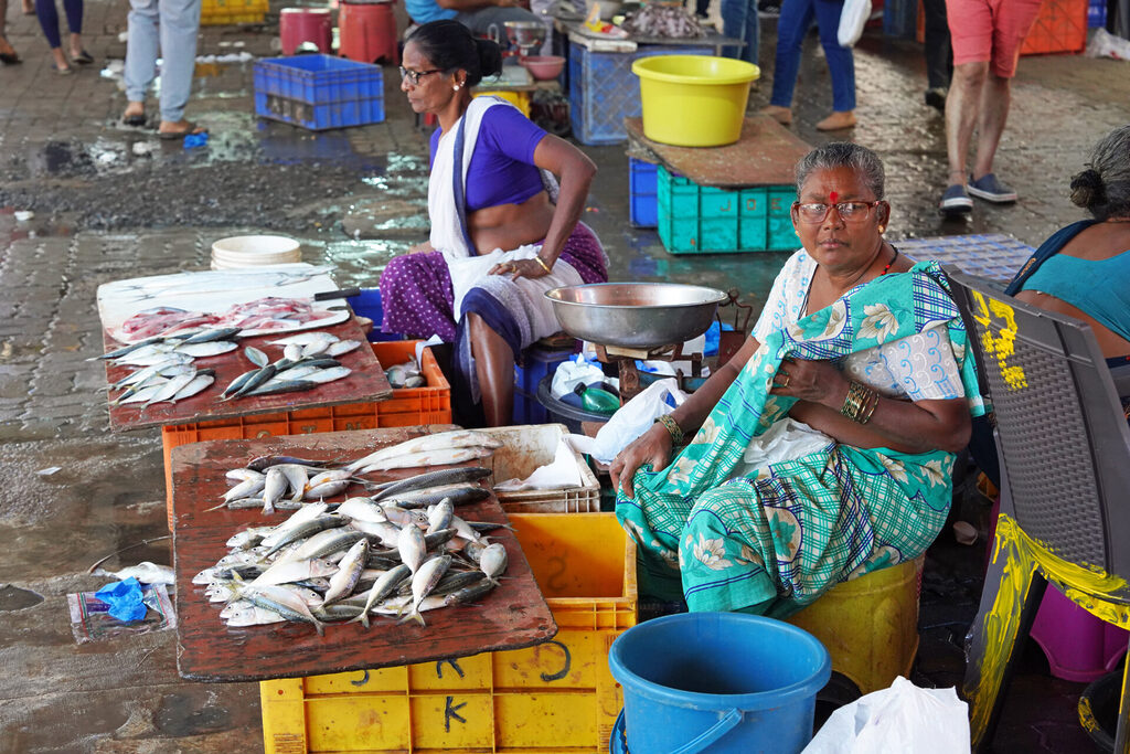 indien_goa_dsc06706
