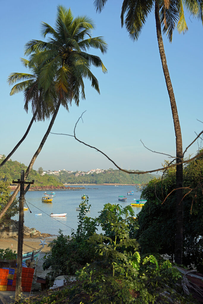 indien_goa_dsc06719