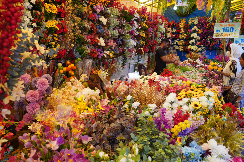 indien_goa_dsc06743