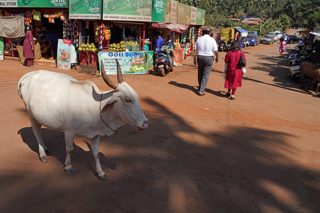 indien_goa_dsc06750