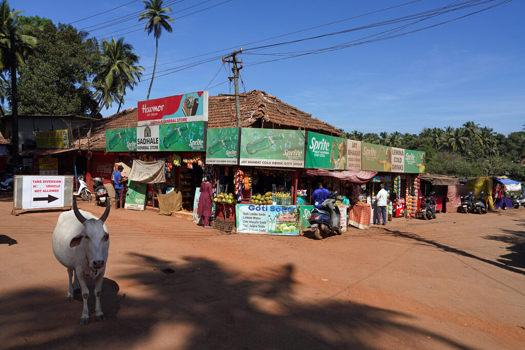 indien_goa_dsc06753